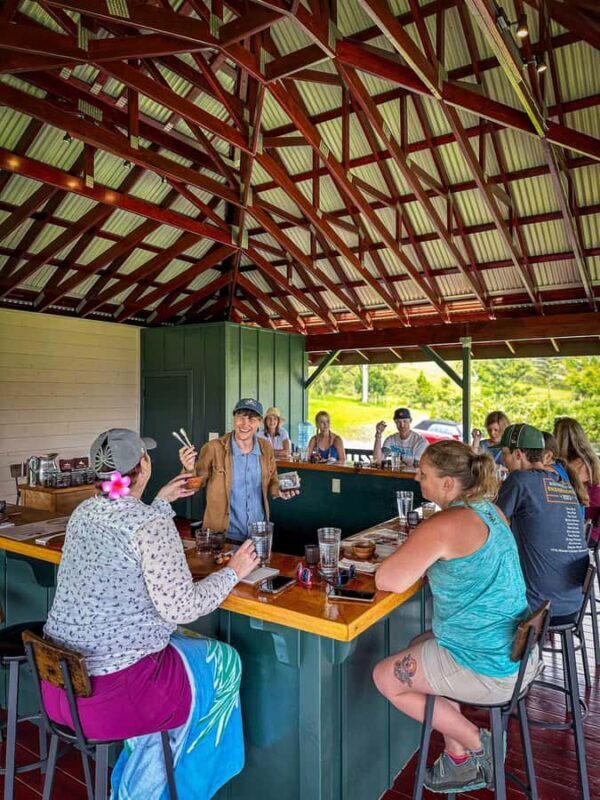 Hawaii: 10 Bar Chocolate Tasting & History of Chocolate - Hawaii: 10 Bar Chocolate Tasting & History of Chocolate – A Deep Dive into Cacaos Hawaiian Legacy