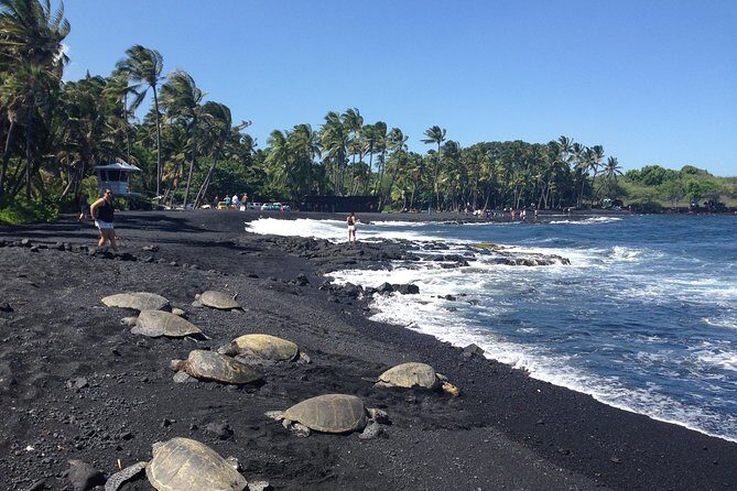 Hawaii Big Island Circle Small Group Tour: Waterfalls - Hilo - Volcano - Black Sand Beach - Exploring Hawaii’s Big Island: A Full-Day Circle Tour