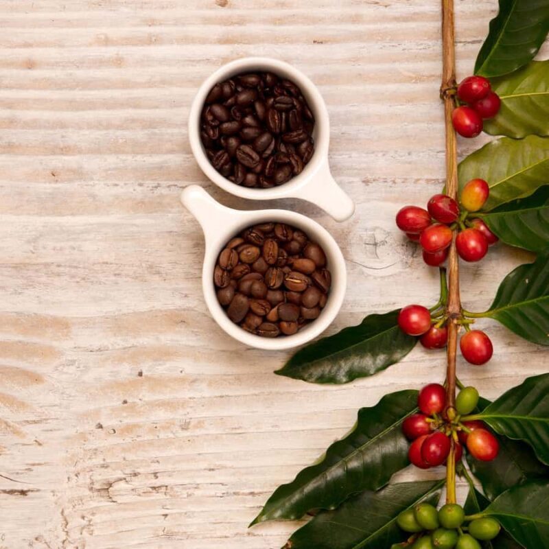 Hawaii Hala Tree Coffee: Coffee Cupping Workshop - Hawaii Hala Tree Coffee: Coffee Cupping Workshop — A Genuine Taste of the Islands