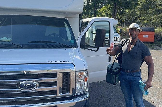 Hawaii island Mini-Buses Service - Who Would Benefit Most?