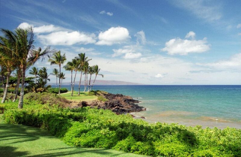 Hawaii Island Private Tour: Majestic Circle Island Adventure - The Sum Up: Who Is This Tour Best For?