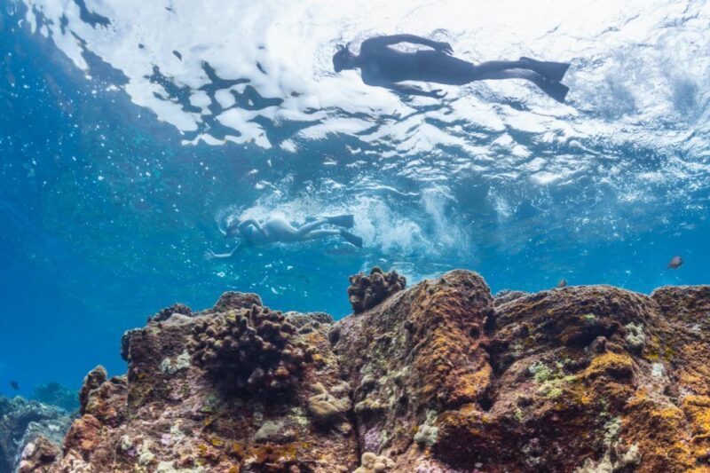Hawaii: Pu'uhonua O Honaunau & Kealakekua Bay Snorkel Tour - The Sum Up