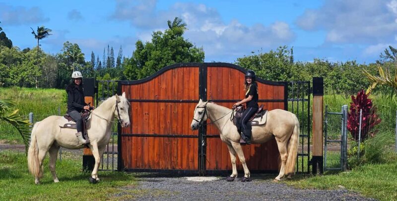 Hawaii: Small Group Rainforest Trail Ride - Discover the Big Island’s Tropical Rainforest on Horseback