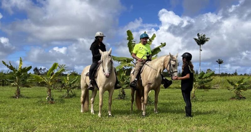 Hawaii: Small Group Rainforest Trail Ride - Key Points