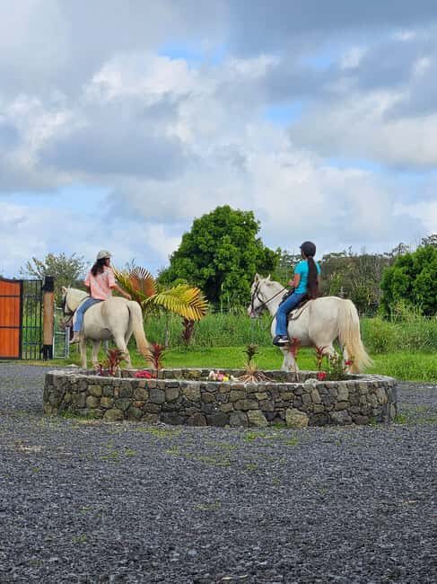 Hawaii: Small Group Rainforest Trail Ride - The Sum Up: Is This Rainforest Ride Worth It?
