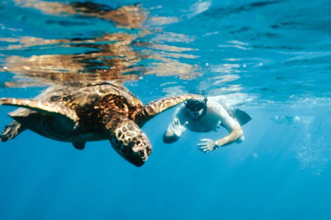 Hawaii Snorkeling with Turtles Boat Tour in Waikiki - Final Thoughts