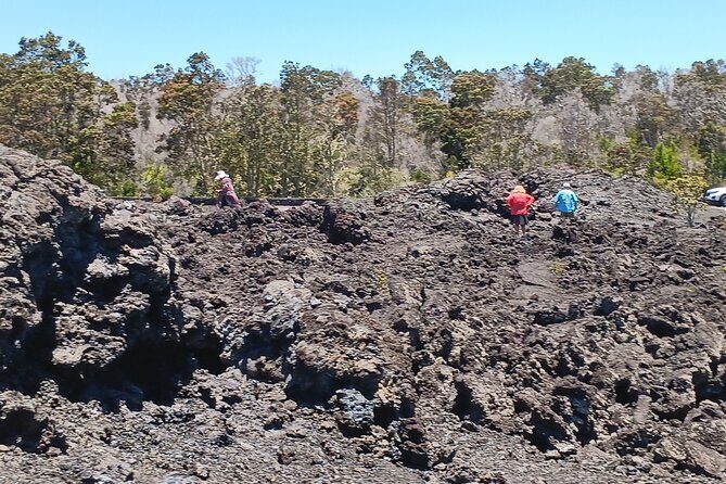 Hawaii Volcano National Park Shore Excursion - Who Should Book This Tour?