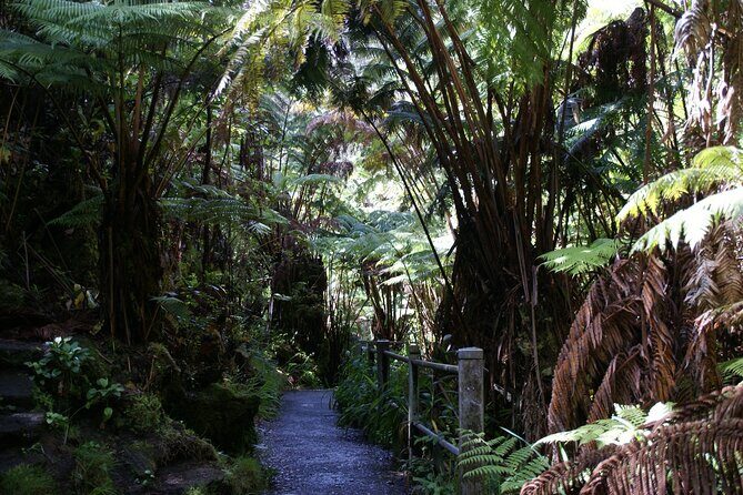 Hawaii Volcanoes National Park Experience from Maui - Final Thoughts