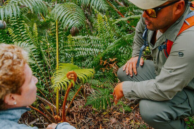 Hawaii Volcanoes National Park Hiking Small Group Adventure - The Sum Up