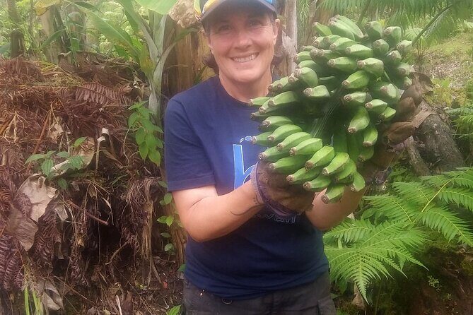 Hawaiian Ohia Tea and Tikis - The Sum Up