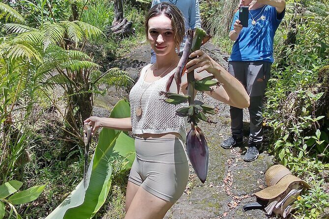 Hawaiian Rainforest Banana Cultivation Experience - Key Points