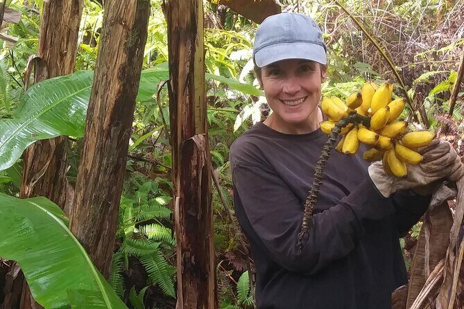 Hawaiian Rainforest Banana Cultivation Experience - Who Will Love This Tour?