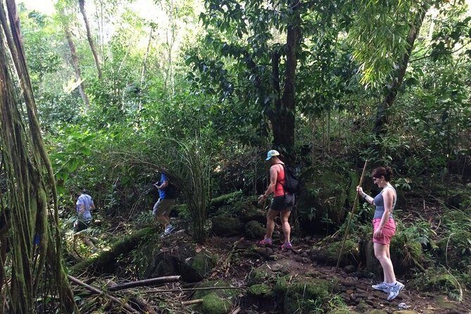 Hawaiian Waterfall Hike - Who Should Consider This Tour?