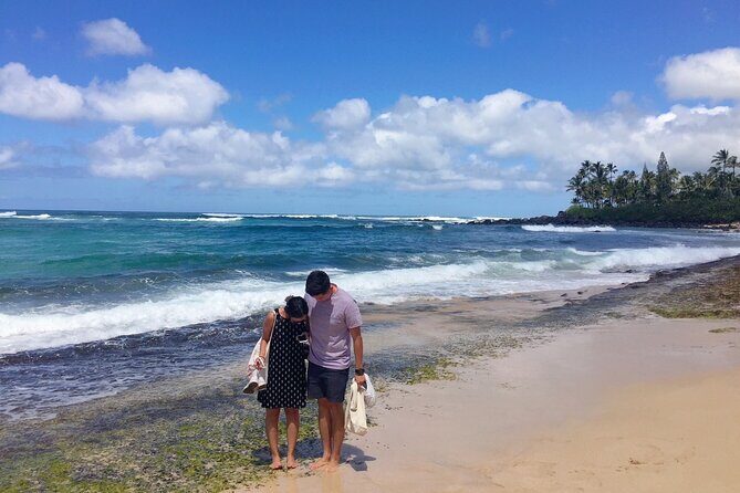 Hawaii's Best Private Build-Your-Tour Charter Service - Key Points