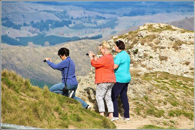 Hawkes Bay - Scenic, luncheon, wine Tour - Exploring Hawkes Bay: An In-Depth Look at the Tour