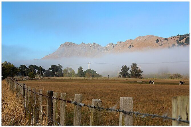 Hawkes Bay - Scenic, luncheon, wine Tour - Who Would Love This Tour?