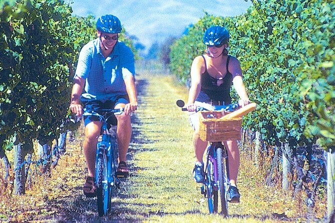 Hawkes Bay Wineries Self-Guided Bike Tour - Hawkes Bay Wineries Self-Guided Bike Tour: A Perfect Blend of Scenic Cycling and Fine Wine
