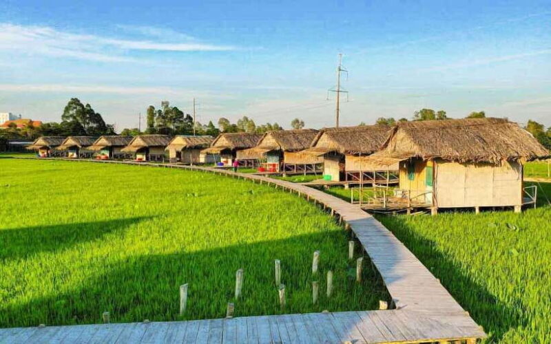 HCM: Authentic Dong Thap Mekong Delta Day Trip & Boat Ride - Key Points