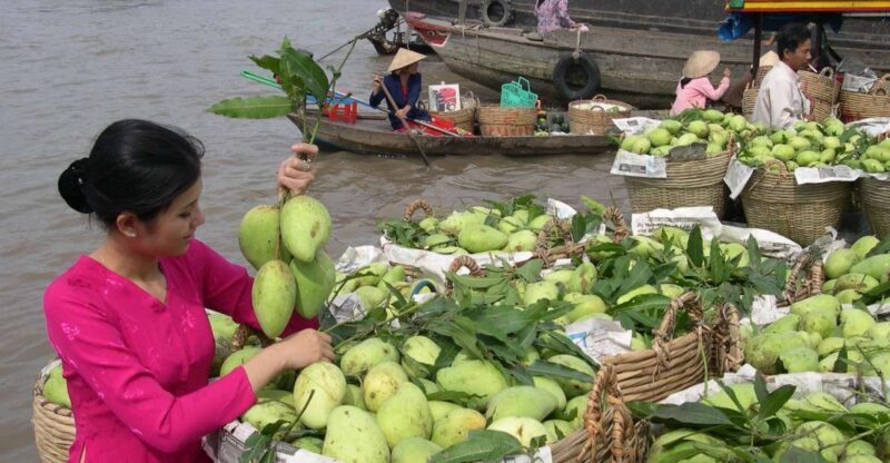 HCMC: Cai Rang Floating Market & Mekong Delta Private Tour - Key Points