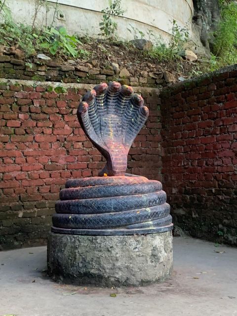 Healing Day tour - Shaman Healing - What is the Healing Day Tour - Shaman Healing?