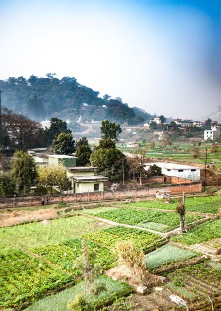 Healing Day tour - Shaman Healing - Final Thoughts: Is This Experience Worth It?