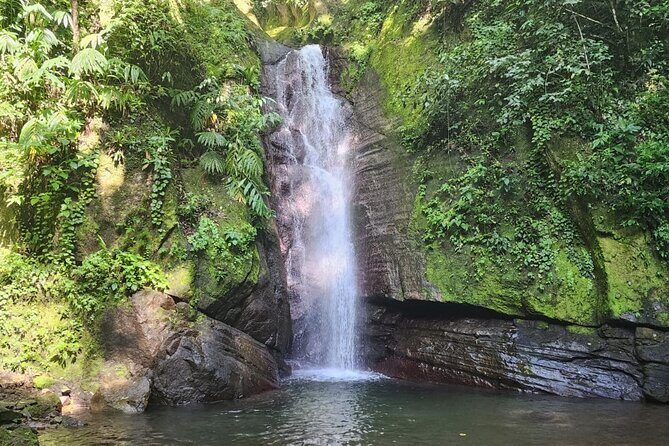 Healing Guided Nature Experience and Waterfall Brunch in Jamaica - In-Depth Review of the Healing Guided Nature Experience and Waterfall Brunch