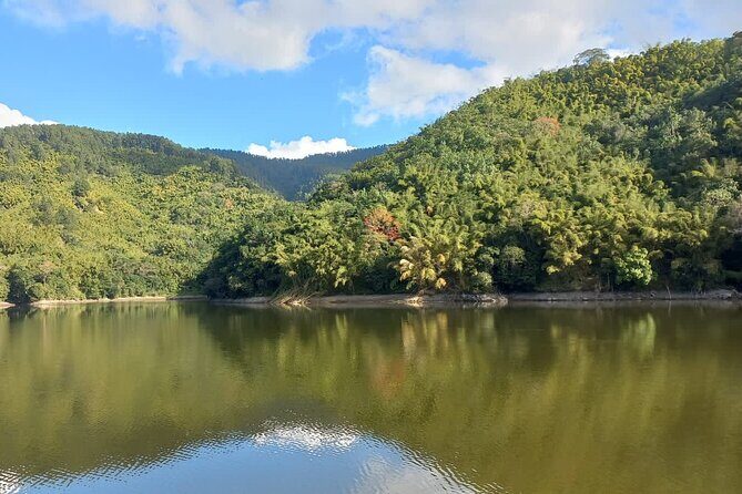Healing Guided Nature Experience and Waterfall Brunch in Jamaica - Authentic Experiences and Genuine Value