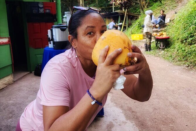 Healing Guided Nature Experience and Waterfall Brunch in Jamaica - FAQ