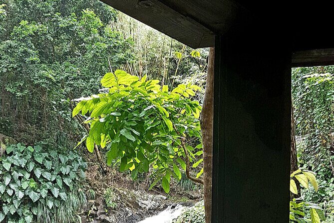 Health & Rejuvenate Tours - Final Thoughts