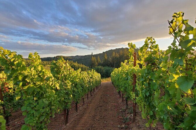 Heart of Willamette Winery Pass 2024: Wine Tastings and Discounts - Key Points