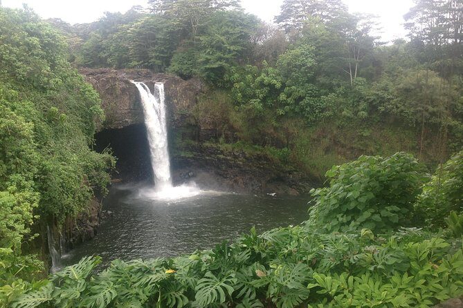 Heavenly Hamakua: From Kona - Final Thoughts