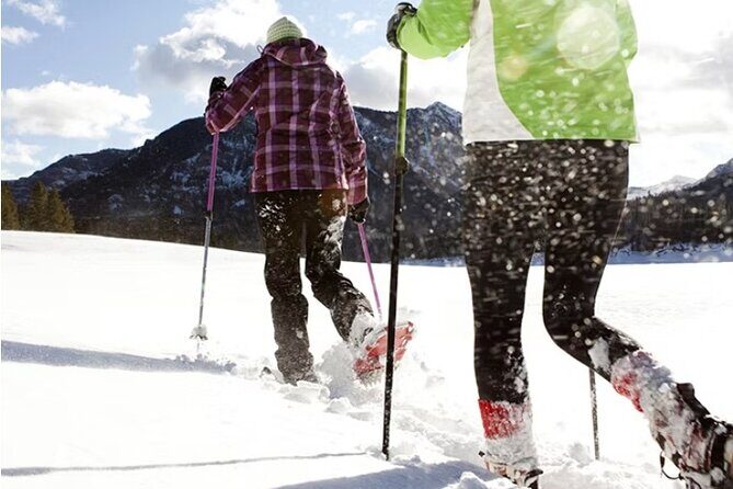 Heavenly Tahoe Snow Shoe Tour With A Local Guide - Heavenly Tahoe Snow Shoe Tour With A Local Guide: A Detailed Review