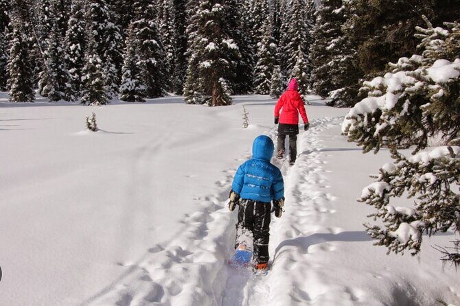 Heavenly Tahoe Snow Shoe Tour With A Local Guide - Final Thoughts