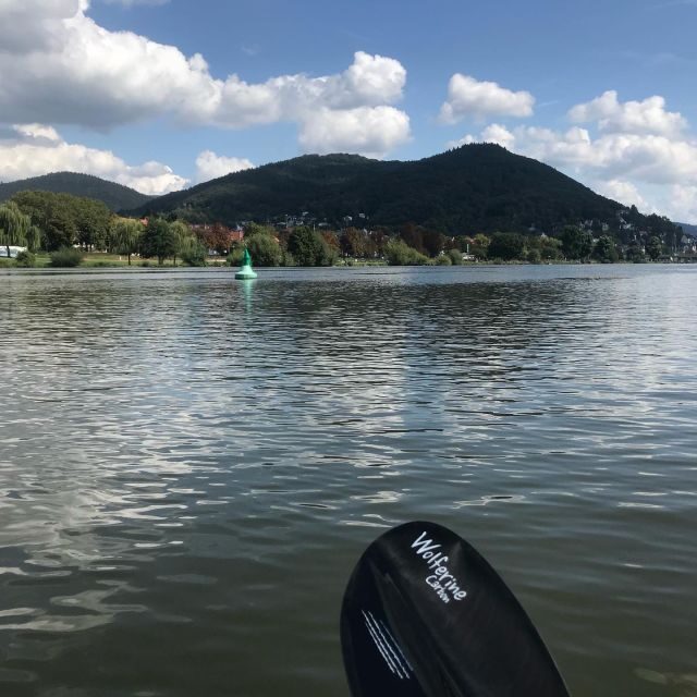 Heidelberg: 2-Hour Kayak Tour - What the Tour Includes and How It Works