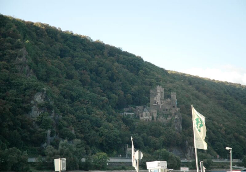 Heidelberg and Rhine Combination Tour from Frankfurt - Who Will Love This Tour?