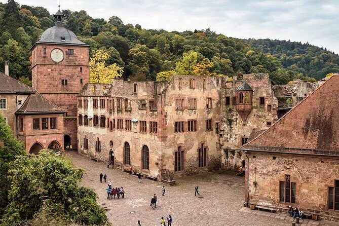 Heidelberg and Rhine Valley Day Trip With Wine Tasting and Dinner from Frankfurt - A Detailed Look at the Heidelberg and Rhine Valley Tour