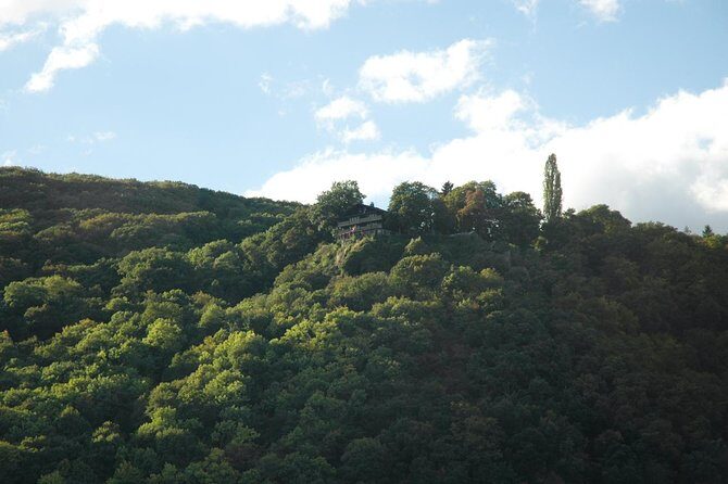 Heidelberg and Rhine Valley Day Trip With Wine Tasting and Dinner from Frankfurt - FAQs