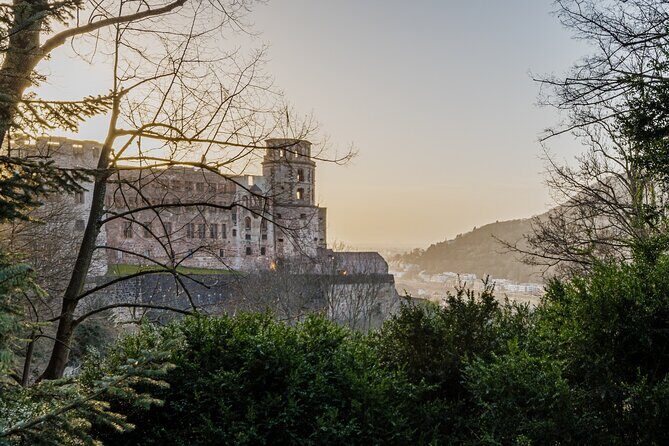 Heidelberg Castle and City Day Tour from Frankfurt - Who Is This Tour Best For?
