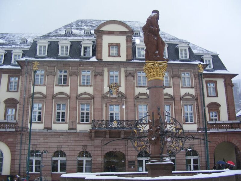 Heidelberg: Craft Beer and Street Food Tour - Who Would Enjoy This Tour?