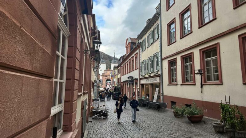 Heidelberg: Experience our history 1.5-hour walking tour through the old town - Who Should Take This Tour?