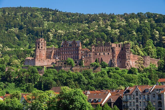 Heidelberg Heritage: Private Old Town and Castle Tour - In-Depth Review of Heidelberg Heritage Tour