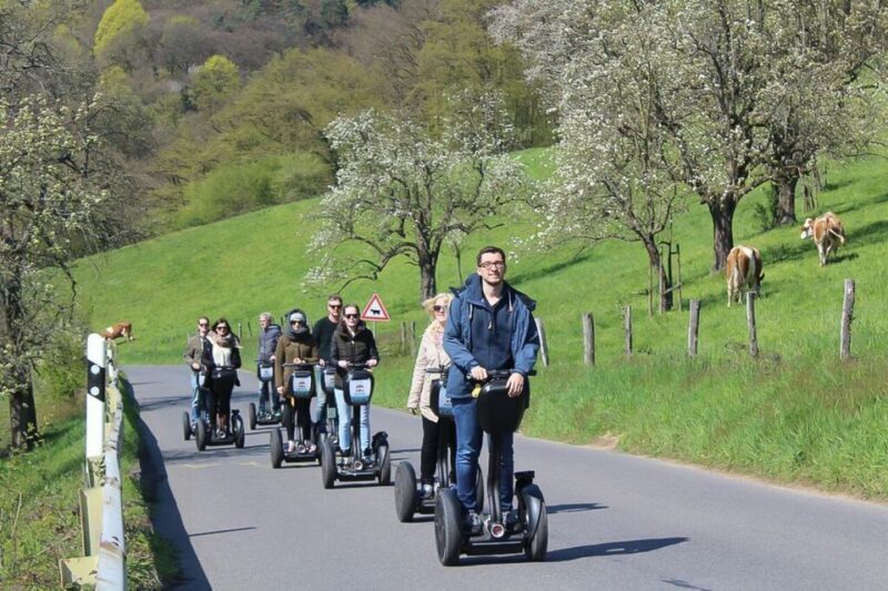 Heidelberg Highlights Segway Tour with Castle - Key Points