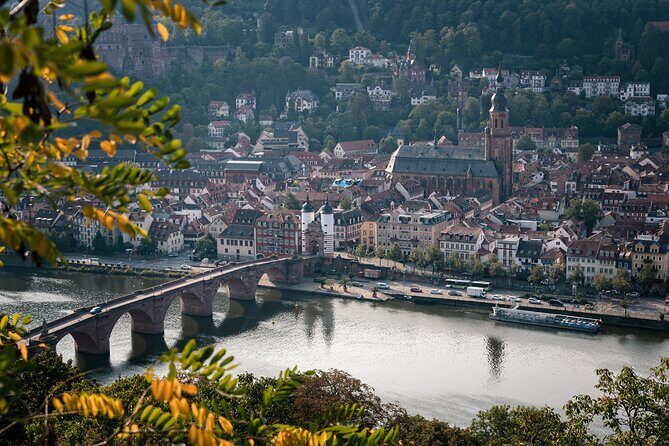 Heidelberg Like a Local: Customized Private Tour - The Itinerary: Tailored to Your Interests