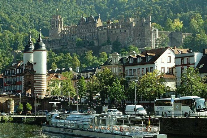 Heidelberg Old Town Private Walking Tour including Castle Visit - Exploring Heidelberg: A Deep Dive into the Tour Experience