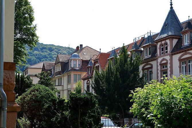 Heidelberg Private Walking Tour With A Professional Guide - Who Would Love This Tour?