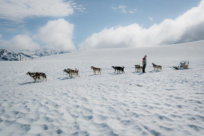 Helicopter Glacier & Dog Sledding Adventure Tour - Key Points