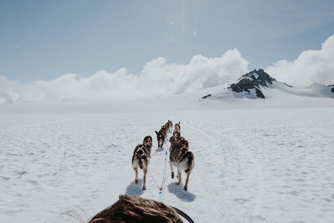 Helicopter Glacier & Dog Sledding Adventure Tour - Why This Tour Stands Out