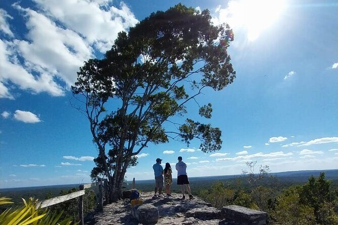 Helicopter Tour El Mirador La Danta From Flores - Key Points