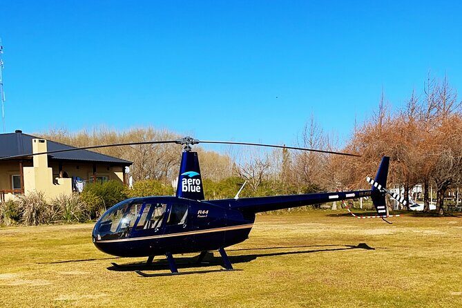 Helitour over the City of Buenos Aires and lunch in the delta - Key Points