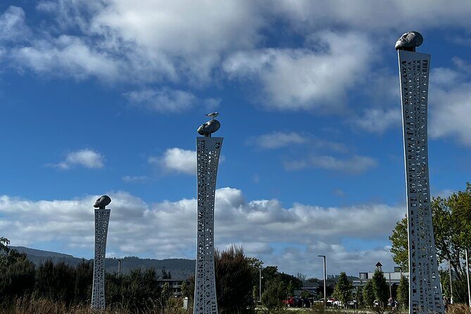 Hell's Gate Mud Spa & Thermal Park Group Day Tour from Auckland - The Sum Up
